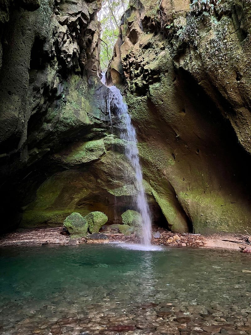 🏞️ 나가노 폭포(나가노타키) 이미지 5